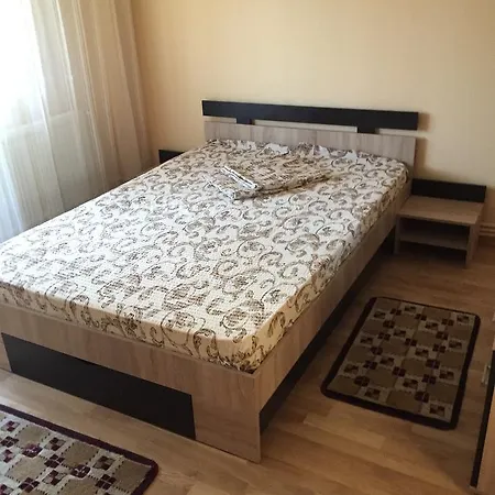 Apartament Anca Apartment *