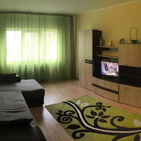Apartament Anca Apartment *